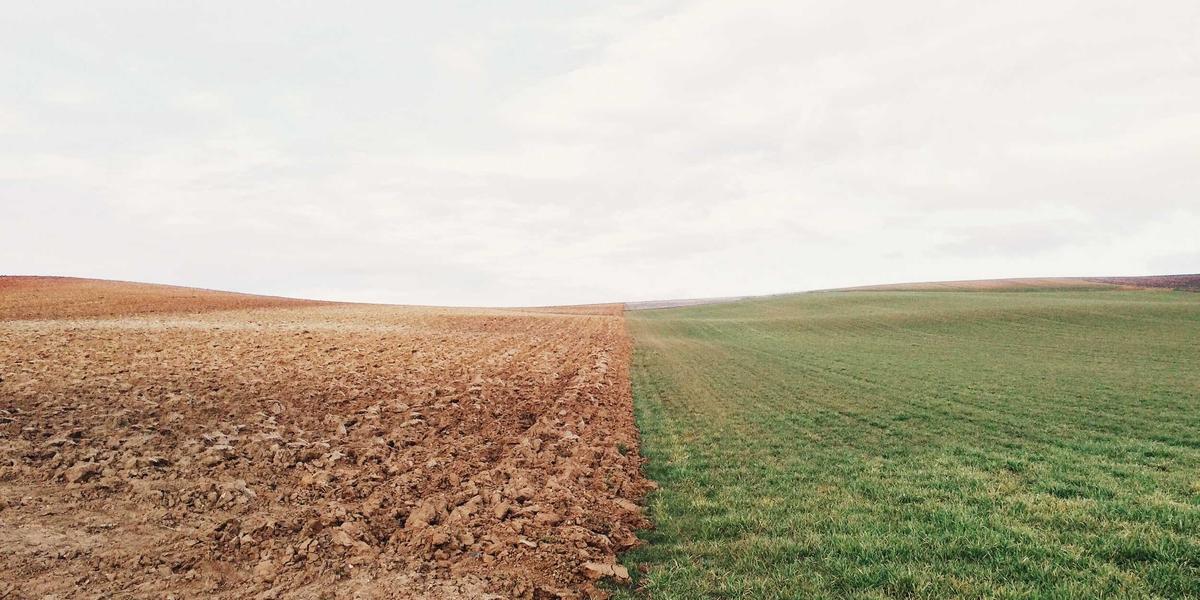  Ebook distributor Bookwire and Eleven Labs partner up