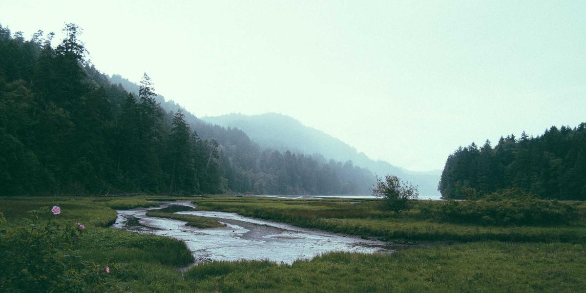 Best Social Media Platforms for Authors in 2026: A Practical Guide